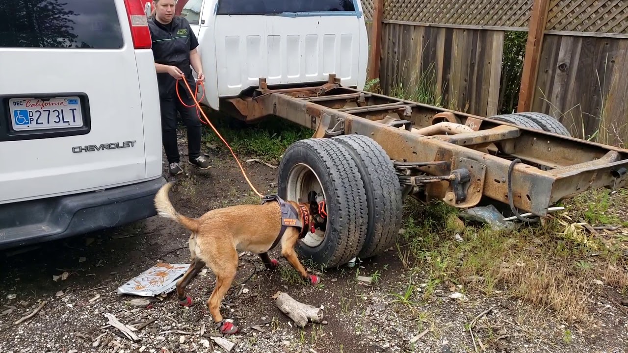 Blaze or Bust - CVault