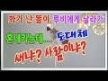 참을만큼참았다~참는것도 한계가 있는거야~가만히 있으니까 가마니로 보여?~오늘 너죽고 너죽자~똘이가 화났어요~하쿠나 마타타~[연구대상]