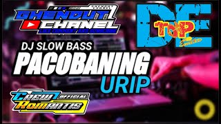 Jinggle Terbaru | DJ SLOW BASS | PACOBANING URIP | ft  DETOP AUDIO suport by GHENDUT CHANEL