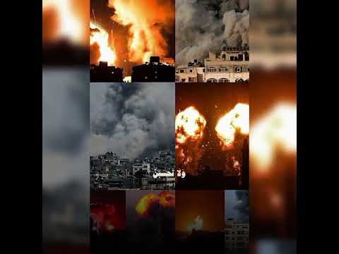 فلسطين  قرآن كريم ياسرالدسوري