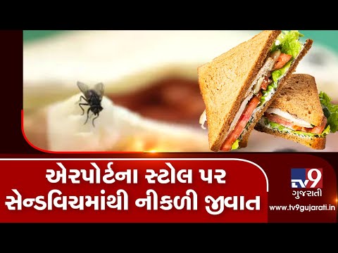Ahmedabad: Passenger finds insect in sandwich purchased from airport| TV9News
