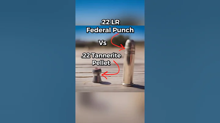 What's more lethal... Tannerite Pellet or .22 LR? 💥