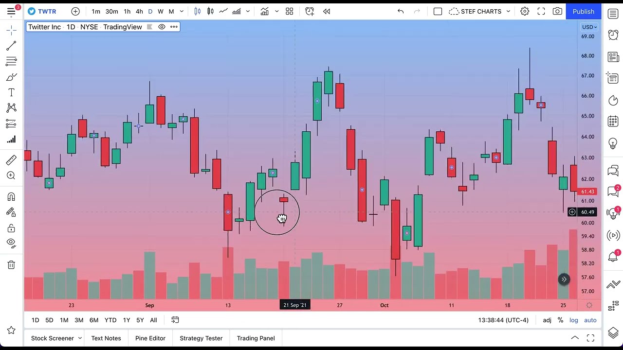 How To Zoom Move And Select Dates On Your Chart Beginner s Guide How To Zoom Move And Select Dates On Your Chart Beginner s Guide