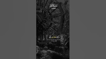#القران_الكريم .اللهم اجعل القرآن الكريم ربيع قلوبنا ونور صدورنا