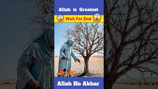 Miracle in the Desert 😱 Allah’s Name Appeared Inside a Mango! 🥭🌴 #shortvideo #youtubeshort