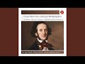 Miniature de la vidéo de la chanson Symphony No. 2 In B-Flat Major, Op. 52 "Hymn Of Praise": Ii. Sinfonia: Allegretto Un Poco Agitato