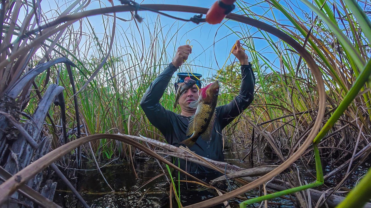 pescando y cocinando en un hermoso lugar con un bonito atardecer y mucha pesca