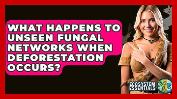 What Happens To Unseen Fungal Networks When Deforestation Occurs? - Ecosystem Essentials