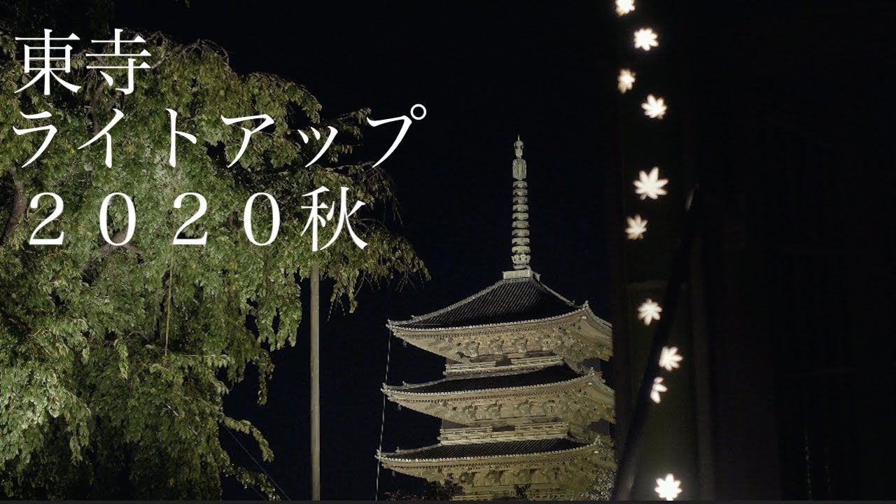 東寺 紅葉 ライトアップ ２０２０ Cinematic Kyoto Rx100m5 Youtube