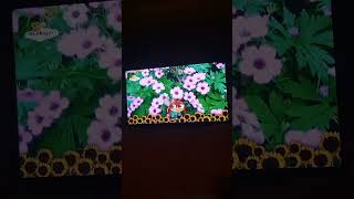 Bzzzzzz baby tv zoo animal english