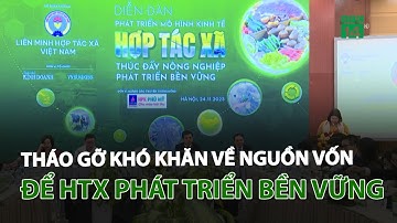 Tháo gỡ khó khăn về nguồn vốn để HTX phát triển bền vững | VTC14