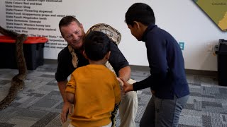 Unveiling the Enchanting World of Reptiles: Your Ultimate Reptile Education Experience! Net Worth