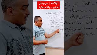 البلاغة | سر جمال التشبيه والاستعارة