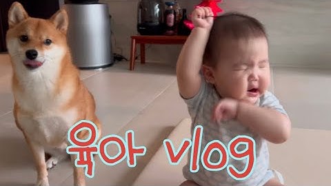육아 vlog | 세희의 처음은 소중해 - 첫 과일, 첫 간식, 첫 웃음🩷