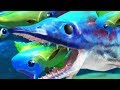 MAHI MAHI vs MARINE REPTILE ICHTHYOSAURUS - Feed and Grow Fish - Part 55 | Pungence