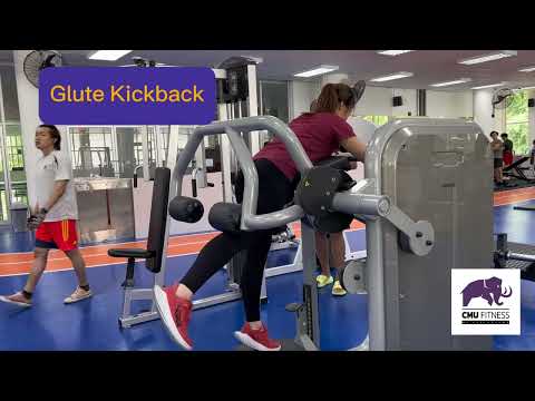 Glute Kickback (Technogym)