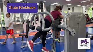 Glute Kickback (Technogym)