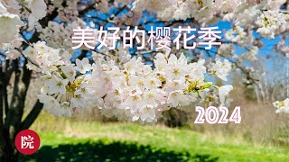 【彬彬有院】我爱我家 • 1216多伦多的春天来了！ 又是一年看樱花的时候，今年我们争取换一种更轻松的日子，到时候一定来和大家分享搬家装修和整理等等细节；樱花地址请看视频下方文字处