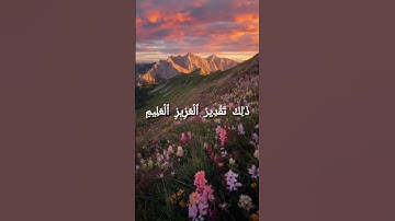تلاوة خيالية للشيخ ياسر الدوسري من سورة الانعام