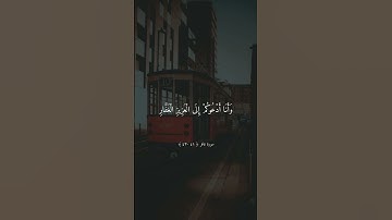 #ماهر_المعيقلي #القران_الكريم #تلاوة_خاشعة #قرآن #قران #القرآن_الكريم