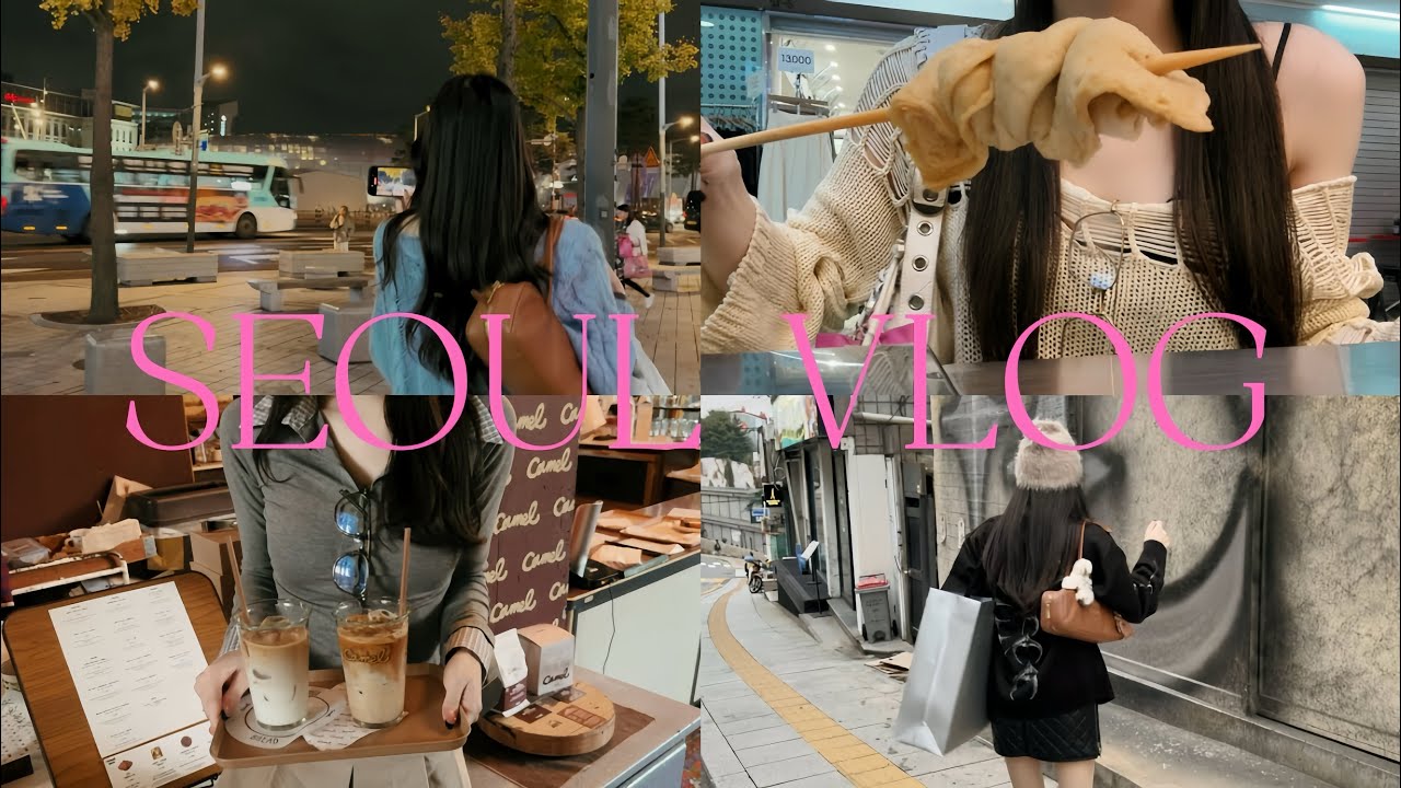 【韓国VLOG】50回目くらいの渡韓で爆食🐷おすすめご飯紹介🍚韓国の学会にも行けたよ🇰🇷