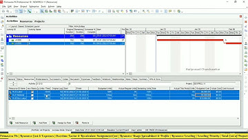 Resource Cost & Expense | Overtime Factor | Resource Usage Spreadsheet & Profile | Resource Leveling