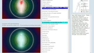 15D NLS ANALYSIS (operate)