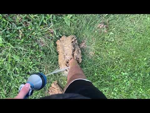 Washing Mud off my Feet