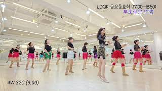 Violet Life (부초같은 인생) Remix Line Dance l Beginner l Linedancequeen l Junghye Yoon