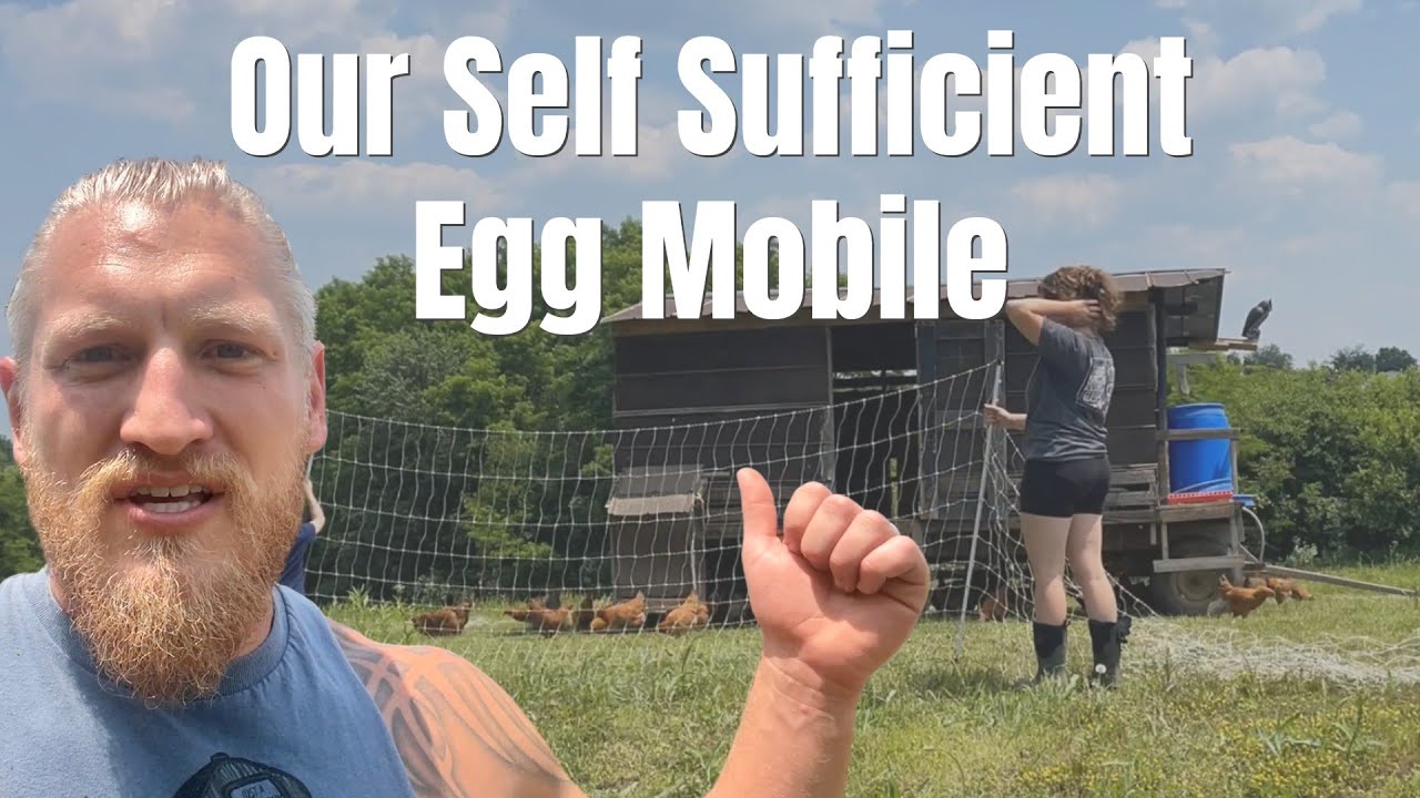 All In One Mobile chicken coop auto feeder auto waterer Rain