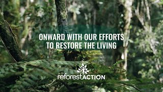 International Day of Forests 2024 l A message for the living