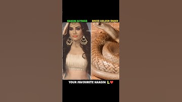 Dress Colour Snake of Nagin Actress 🐍❤️ | #snake #naagin #nagin #song #dressdesign