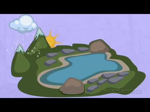 Видео: Как кръговрата на водата помага на Земята?