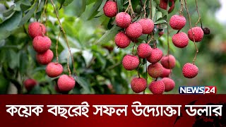 ইউটিউব দেখে বারোমাসি লিচুতে ডলারের বাজিমাত | Dollar Litchu | Rajshahi Lichu | Lichi | News24