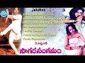 Sagara sangamam movie songs  songs  kamal haasan  jayapradha  ilayaraja