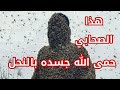 الصحابي الذي حمى الله جسده بالنحل والدبابير