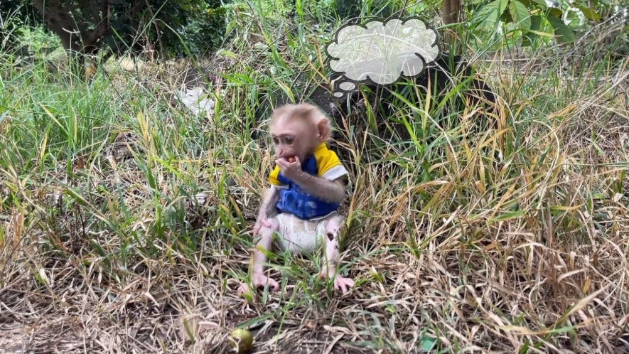 Baby Lux sits waiting for his mother to return to work alone - YouTube