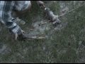 Rabbit hunting with a primitive bow!