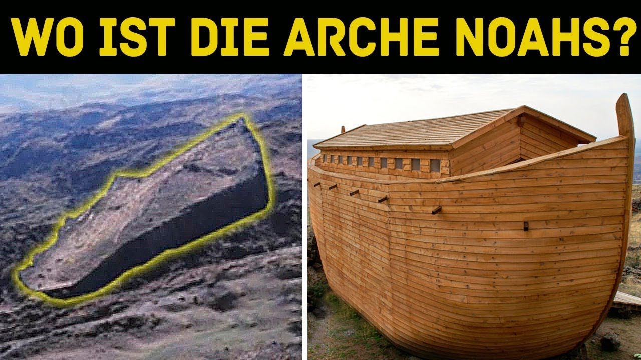 Die Arche Noah PDF