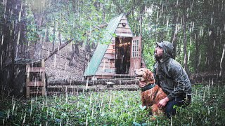 THUNDERSTORM AT THE CABIN | Just Me and My Dog