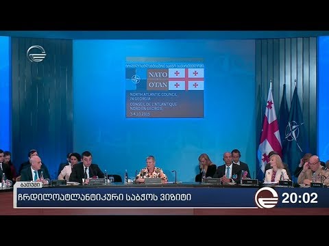 ჩრდილოატლანტიკური საბჭოს ვიზიტი