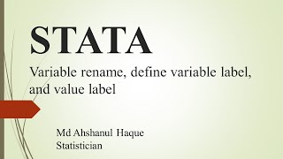 Variable rename, define variable label, and value label in Stata Syntax