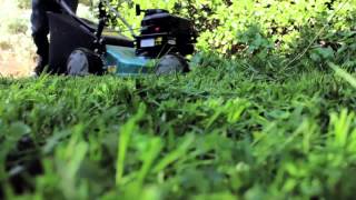 Arbor-Nomics 4 Top Lawn Care Tips To Maintain Your Atlanta Lawn