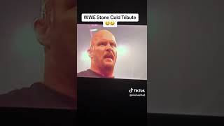 Stone Cold Steve Austin Edit