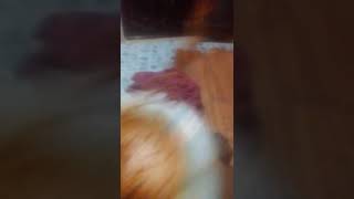 4 ธนวาคม ค.ศ. 2018