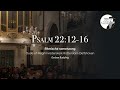 Psalm 221216  ritmische samenzang  gerben budding  pelgrimvaderskerk rotterdamdelfshaven