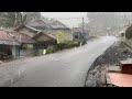 Heavy rain and lightning in village life  walk in the rain and thunder sounds to sleep  asmr rain