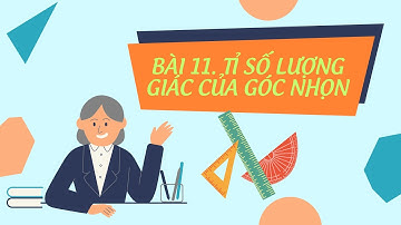 Bài 11 (Tiết 2). Tỉ số lượng giác của góc nhọn.