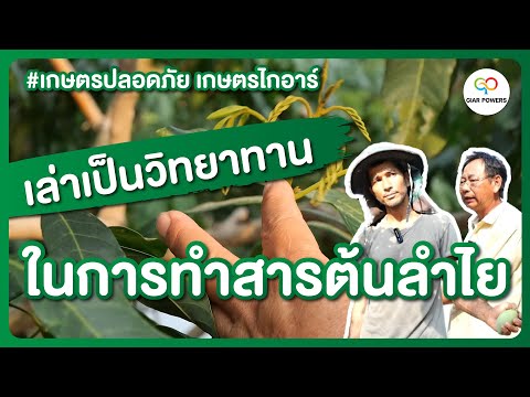 เล่าเป็นวิทยาทาน ในการทำสารต้นลำไย  l พี่ศักดิ์ EP.3 #Giarpowers