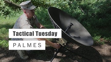 Tactical Tuesday: PALMES